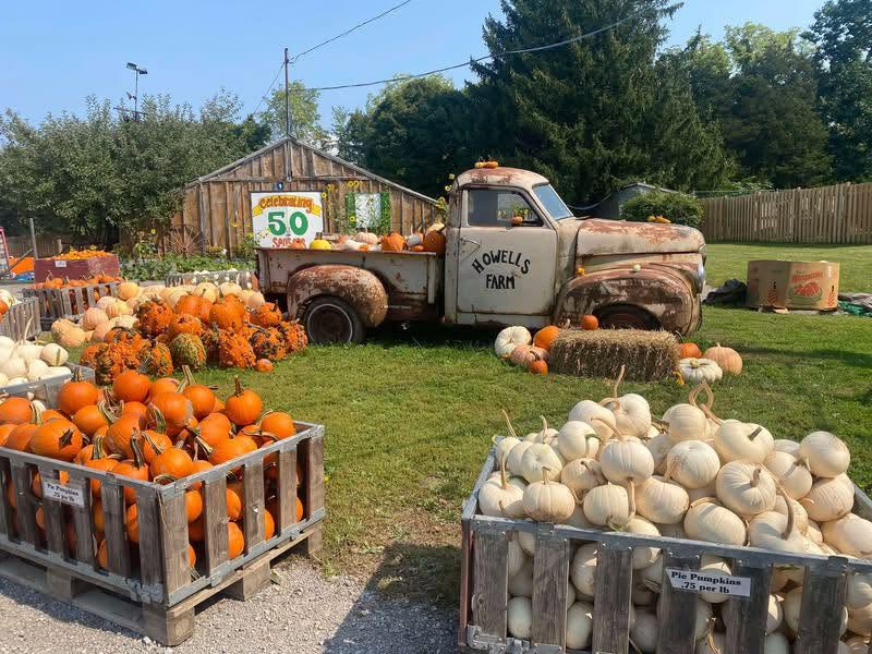 Howell Family Pumpkin Farm