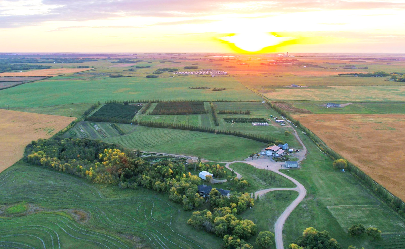 Black Fox Farm and Distillery cover