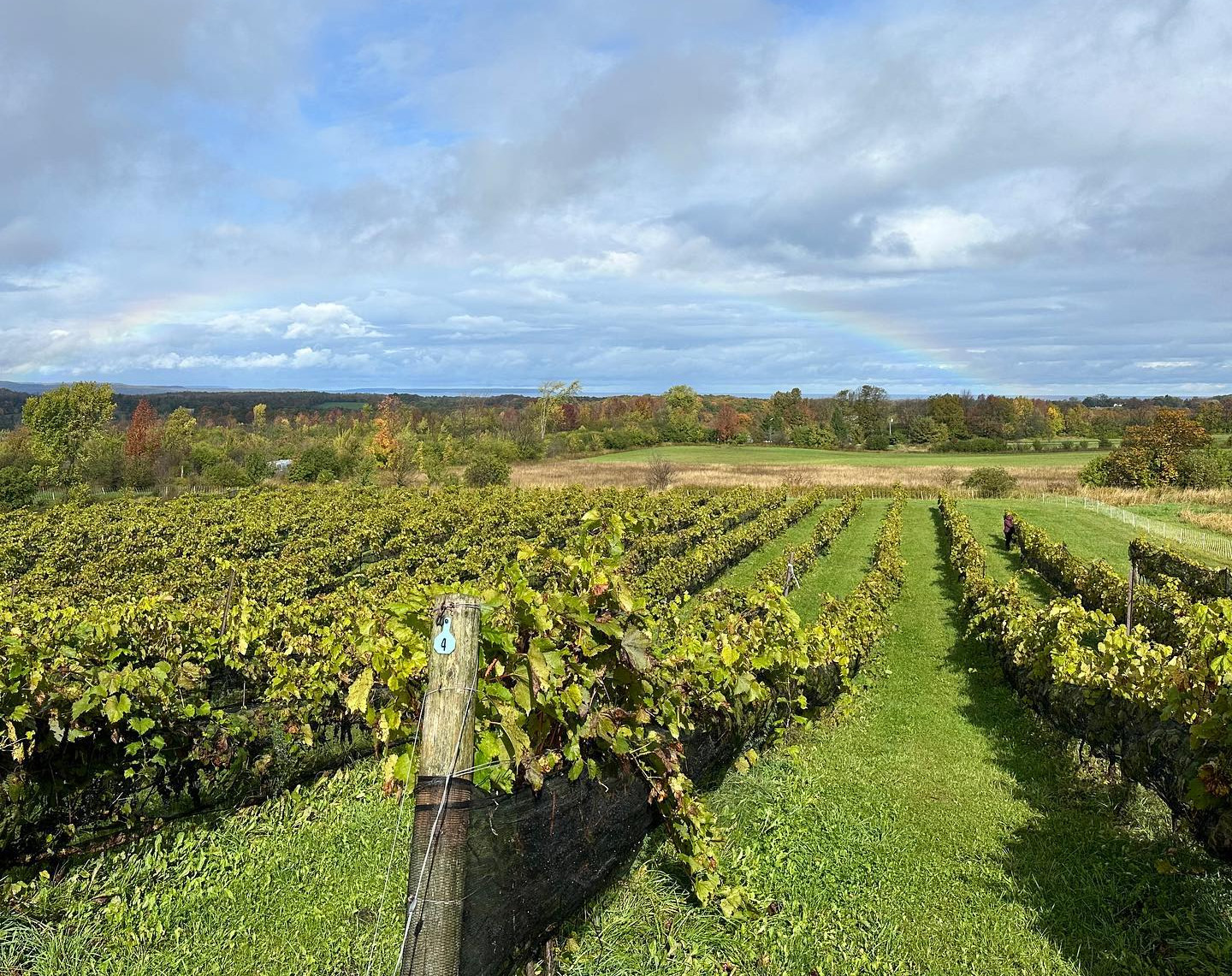 Coffin Ridge Vineyard&Winery cover
