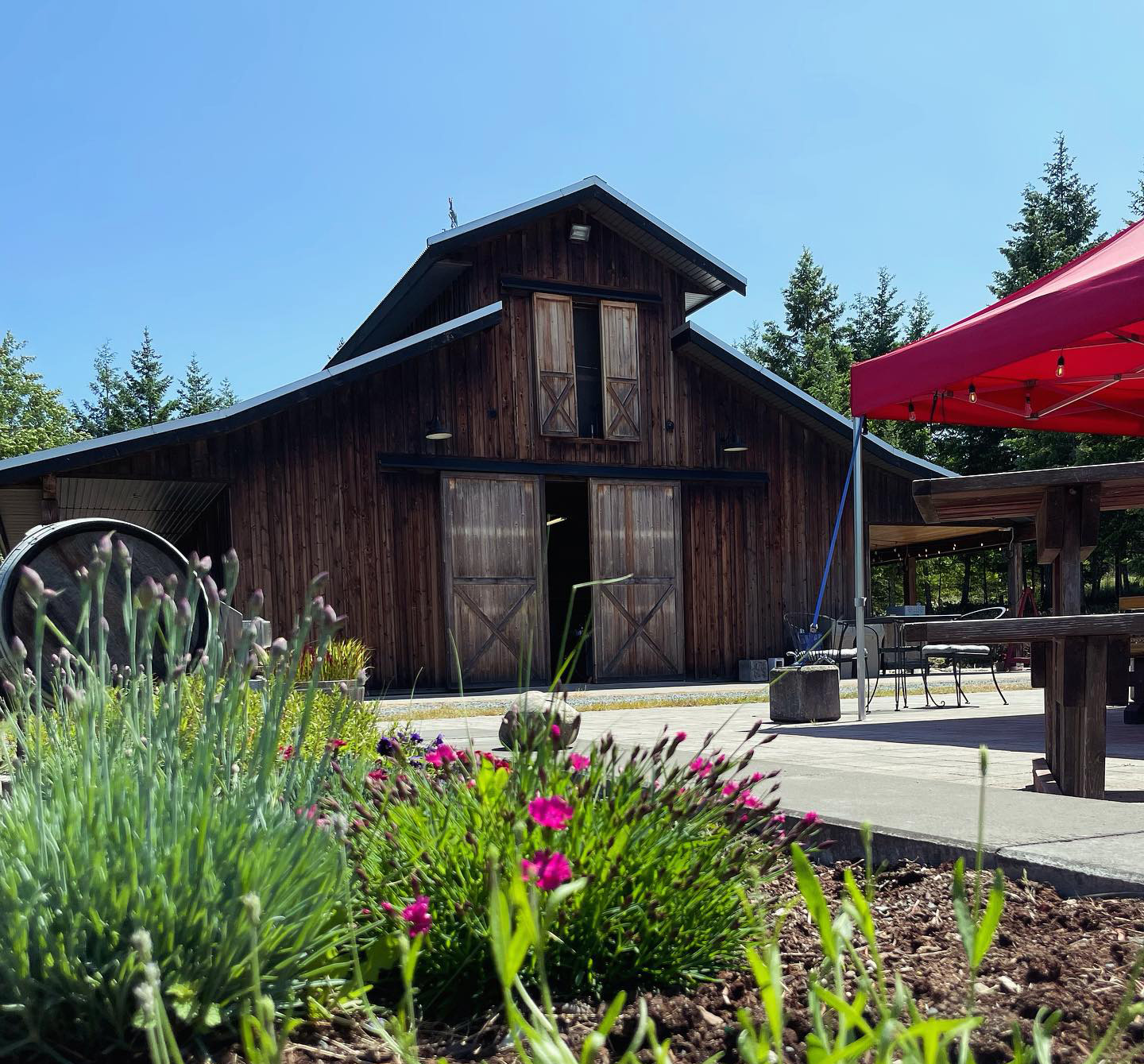 Home of Gabbie's Cider