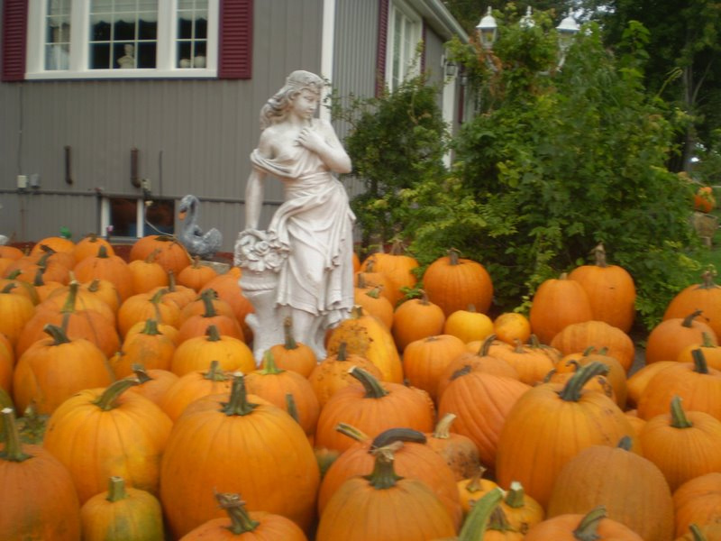 Brus' apple orchards and winery cover