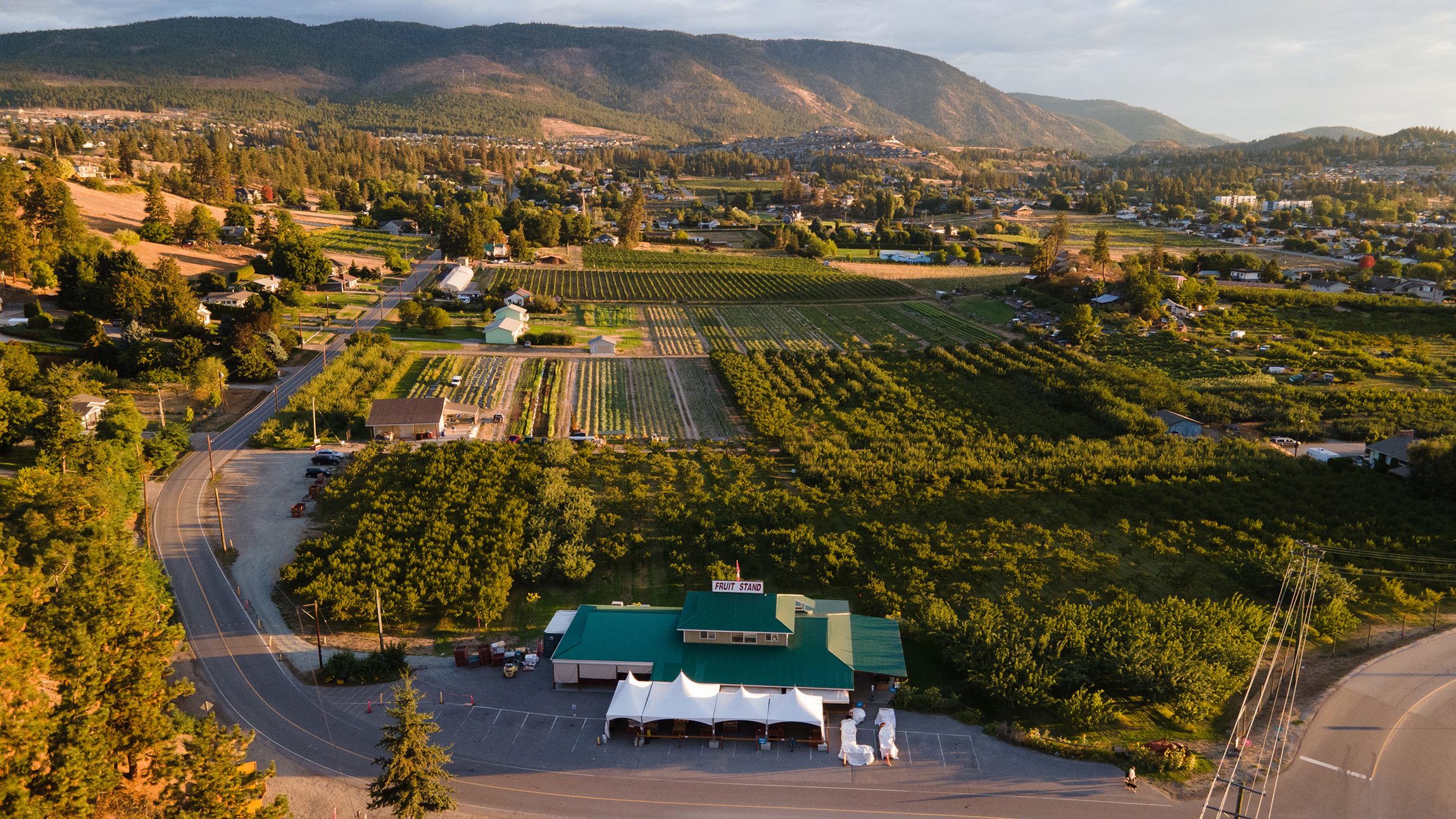 Paynter's Fruit Market