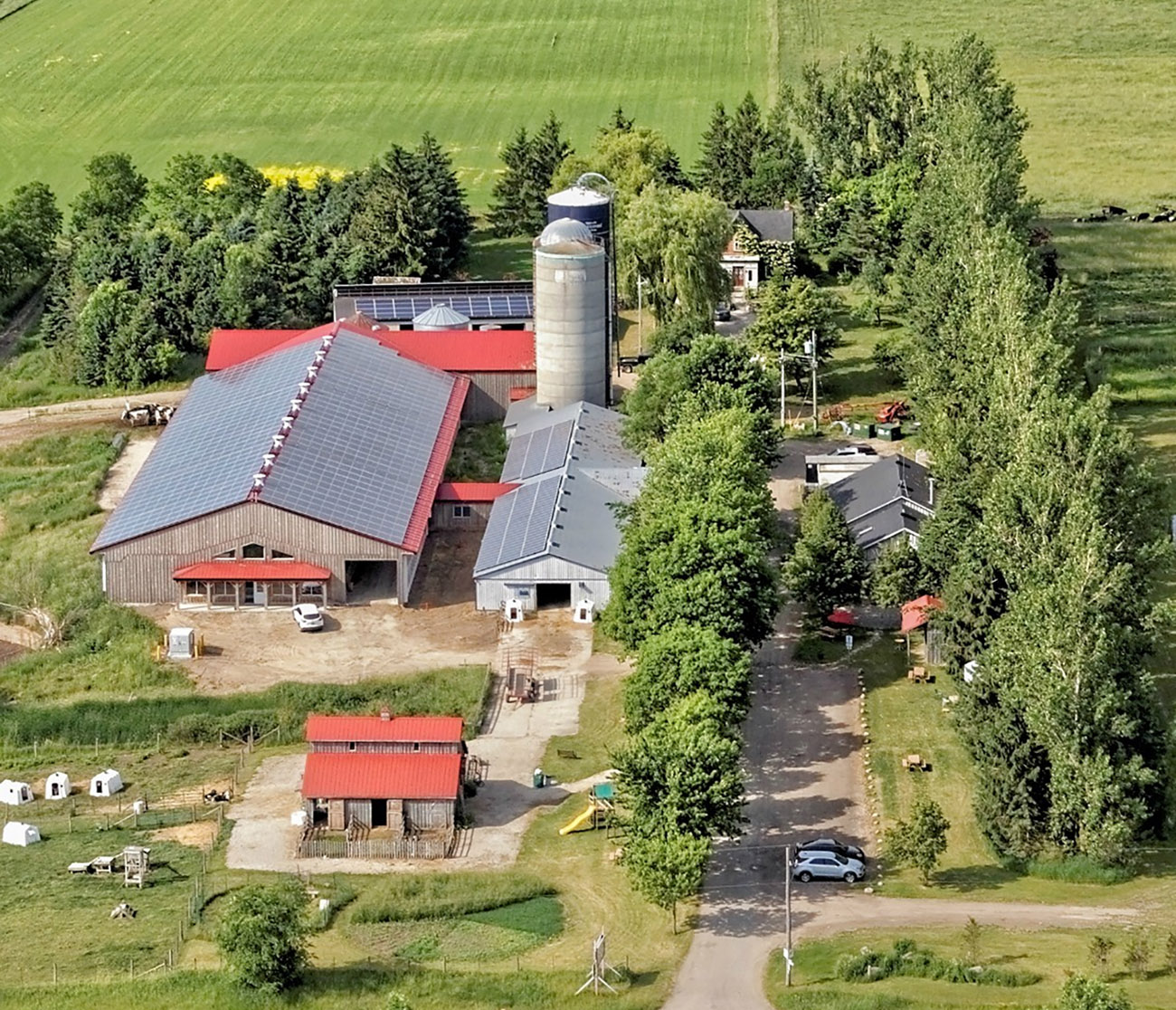 Mapleton's Organic Dairy