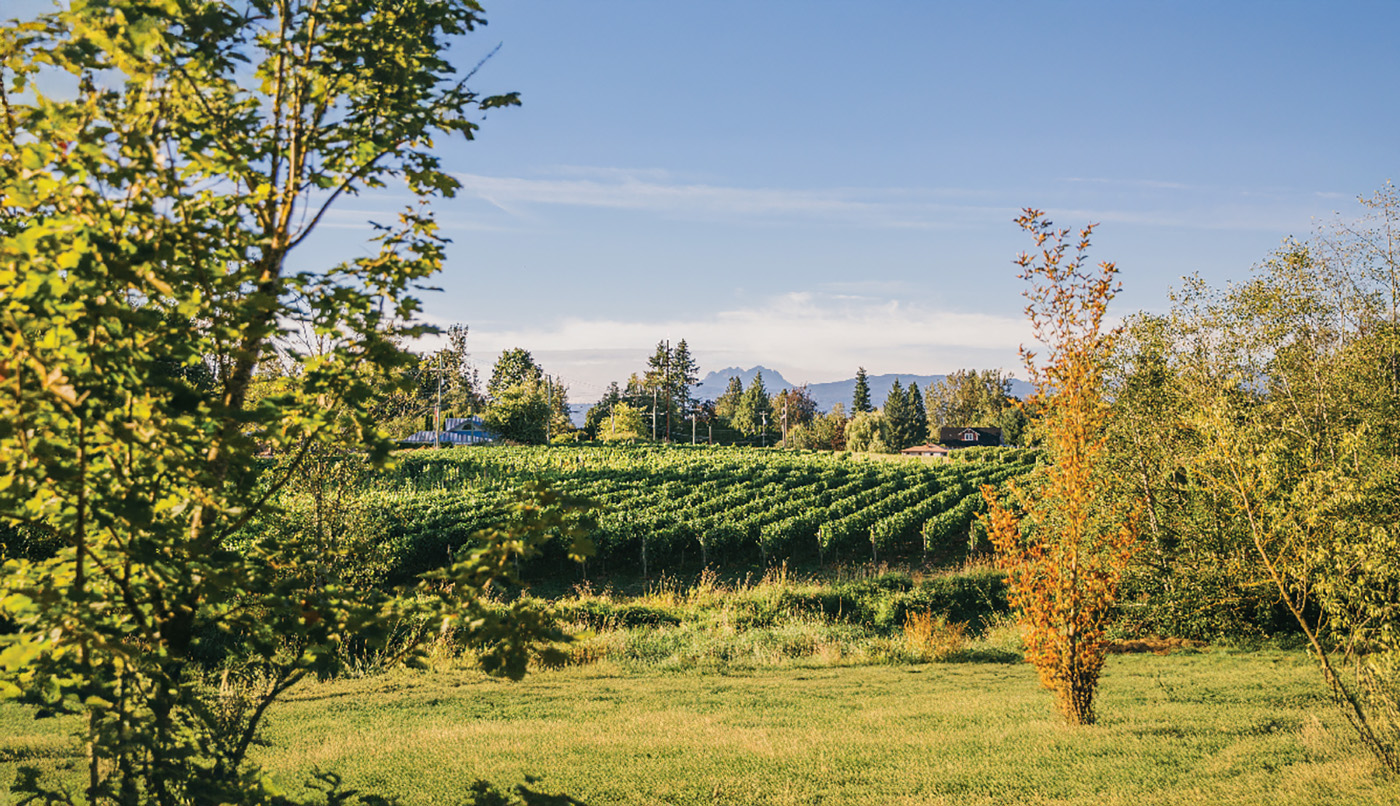 Singletree Winery