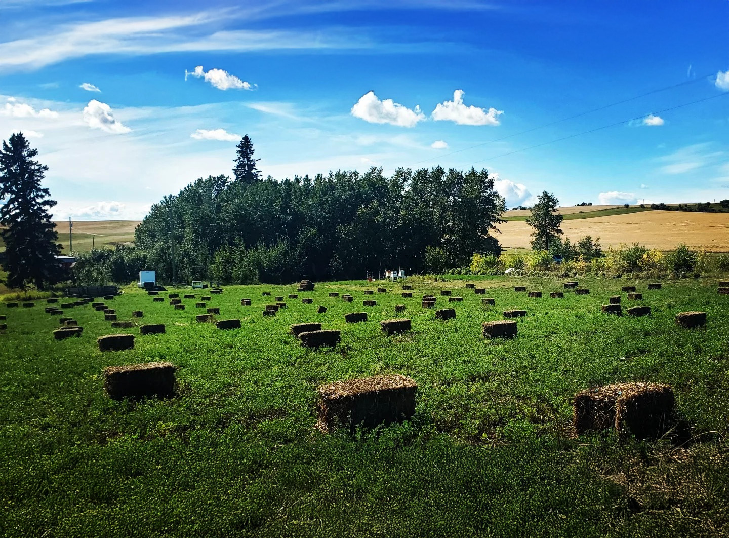 Summit Hill Farm