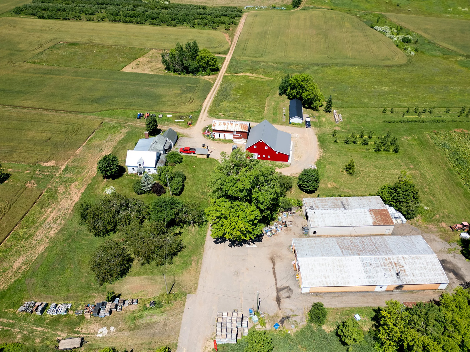 Foote Family Farm cover