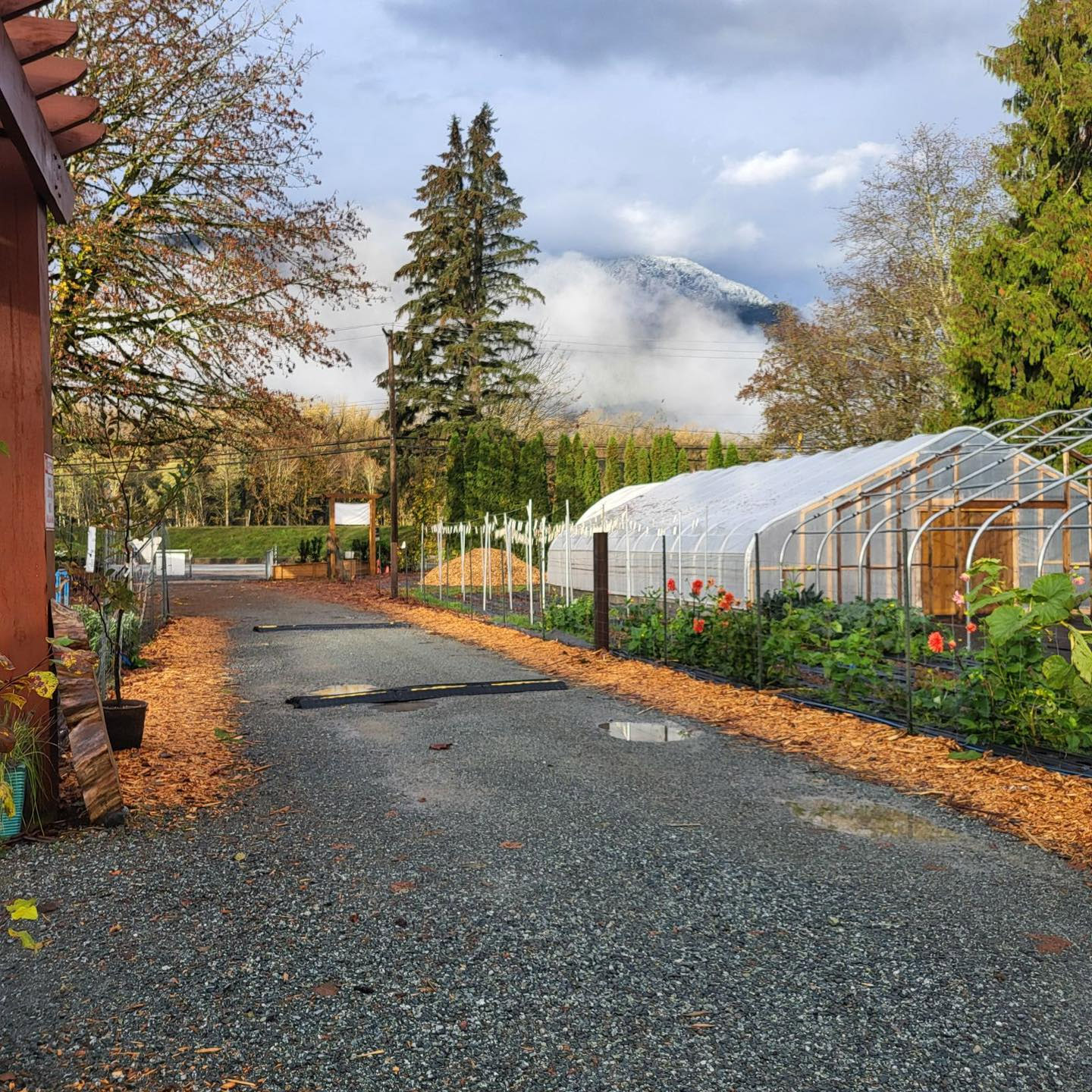 Local Roots Farm Market cover