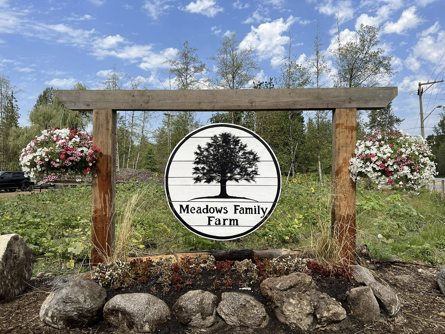 Meadows Family Farm cover