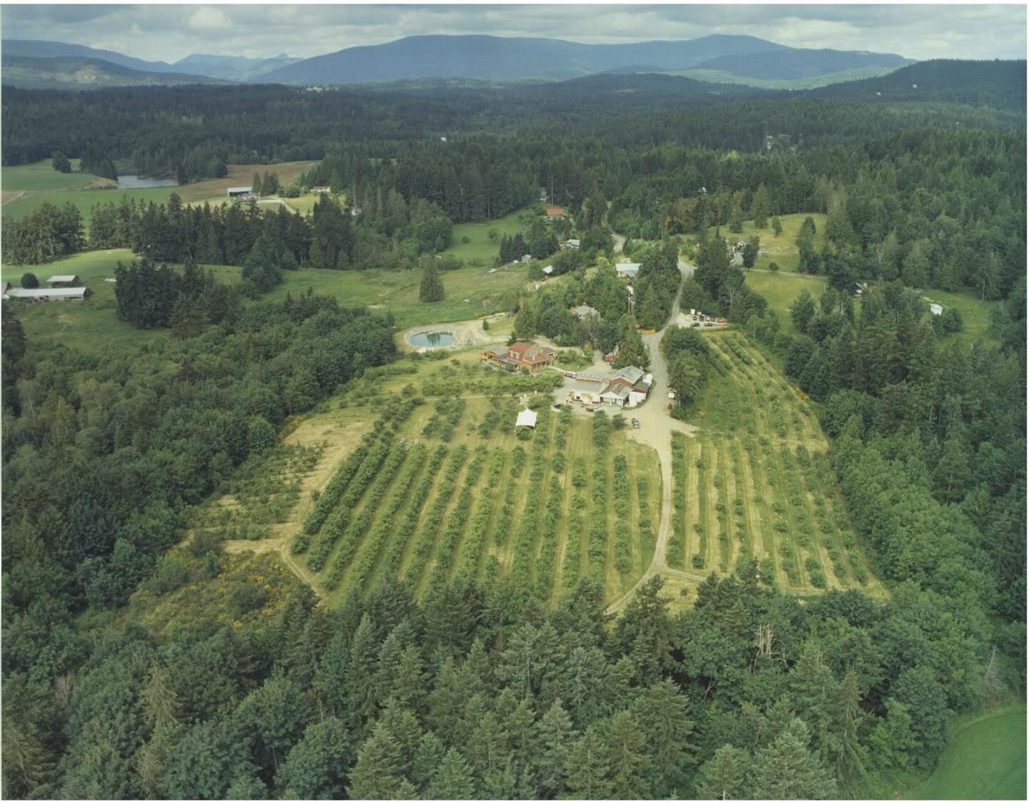 Merridale Cider Works cover