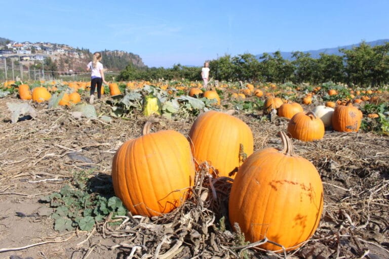 Gambell Farms