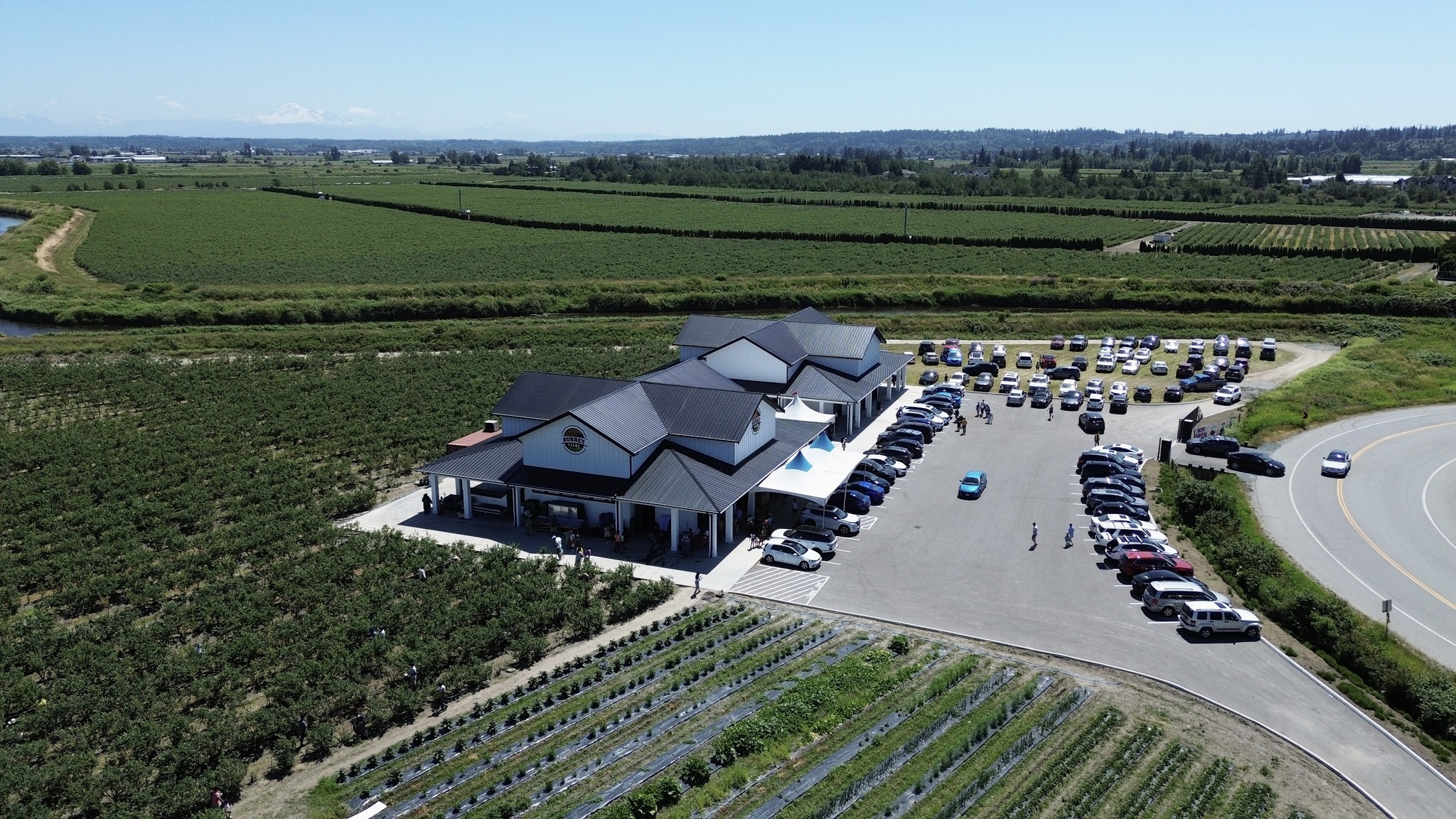 Surrey Farms cover