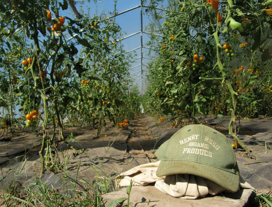 Henry Reed Organic Produce cover