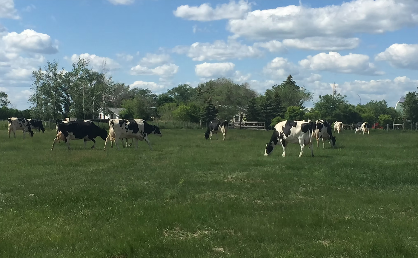 Sunnyside Dairy Farm