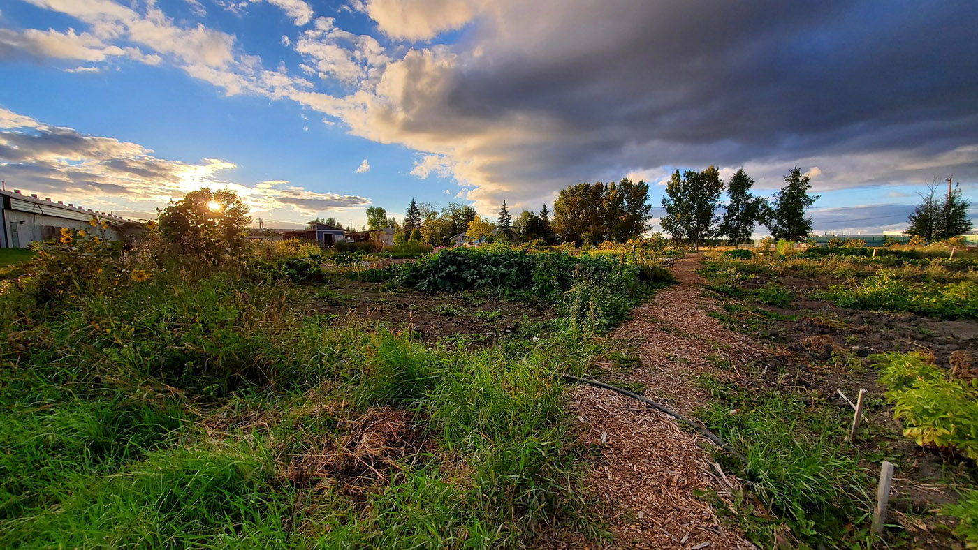 Prairie Urban Farm cover