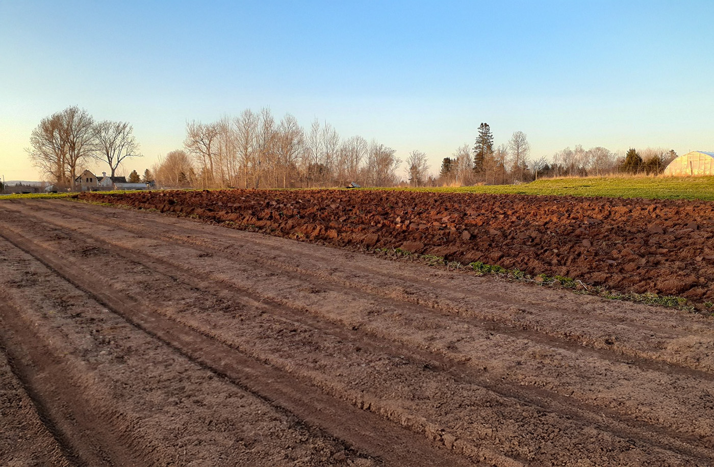 Four Seasons Farm