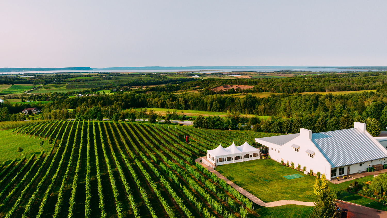 Luckett Vineyards