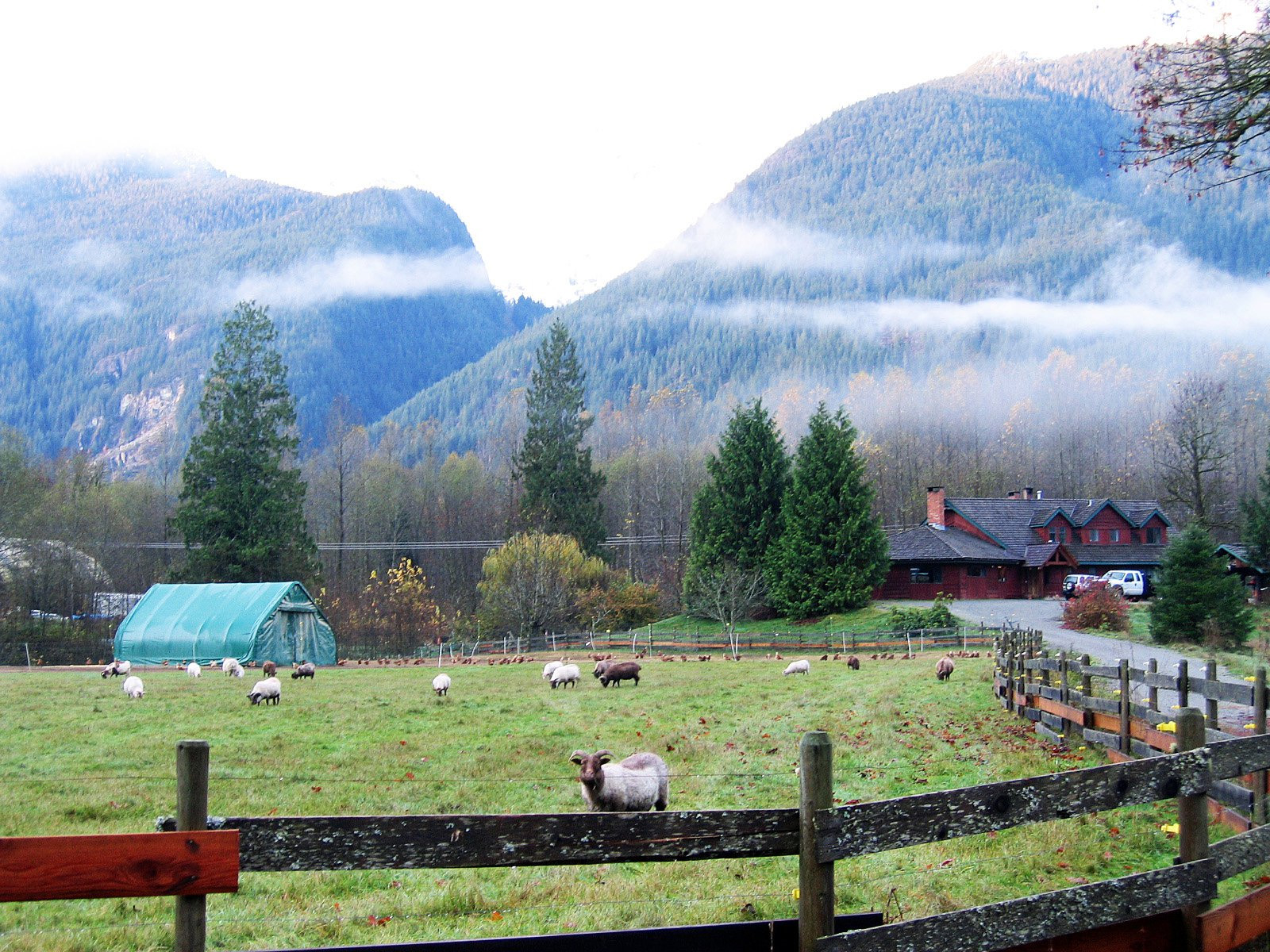 Glacier Valley Farm cover