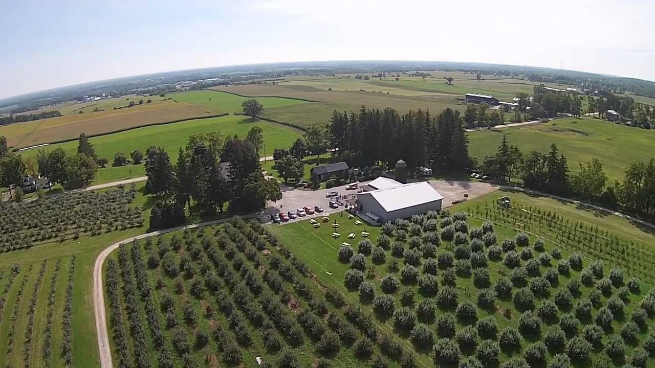 Orchard Home Farm cover