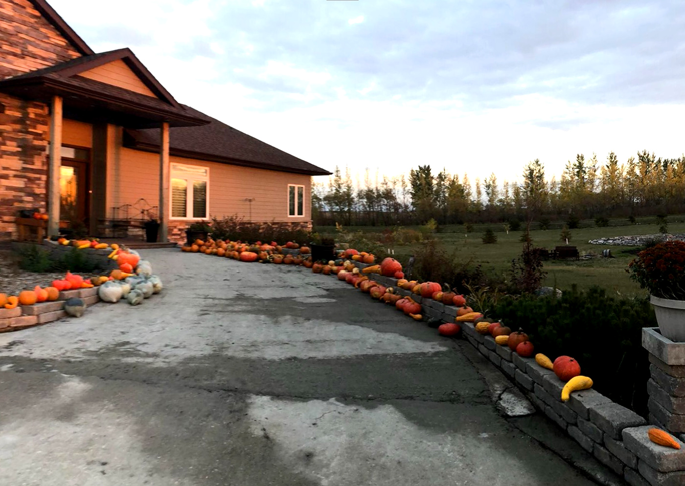 Loewen Homestead