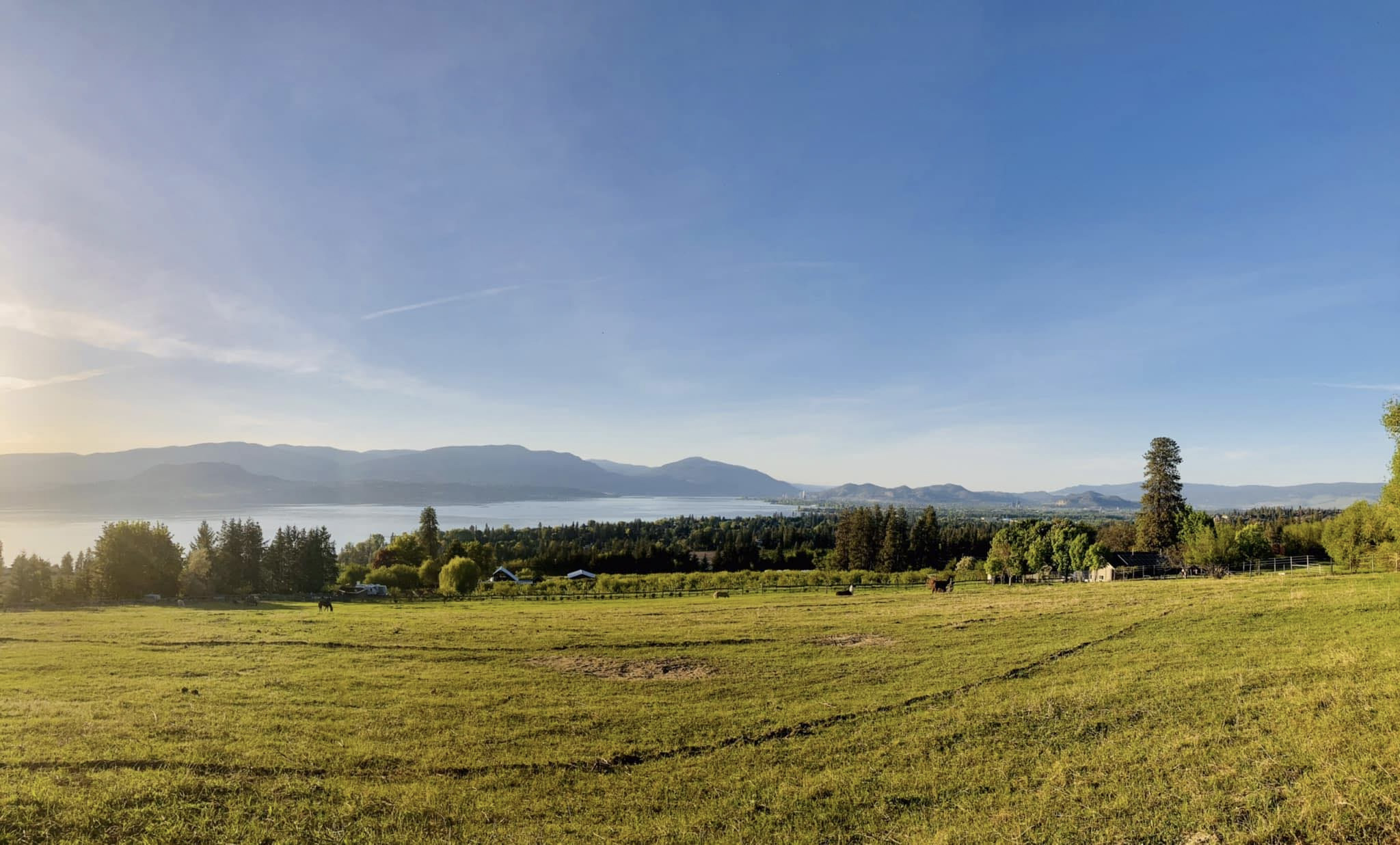Twin Oaks Organic Orchard