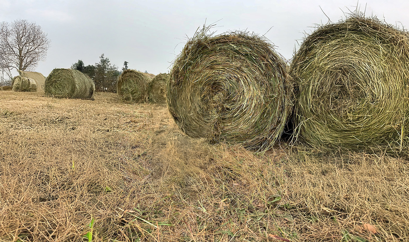 Stony Mountain Farm cover