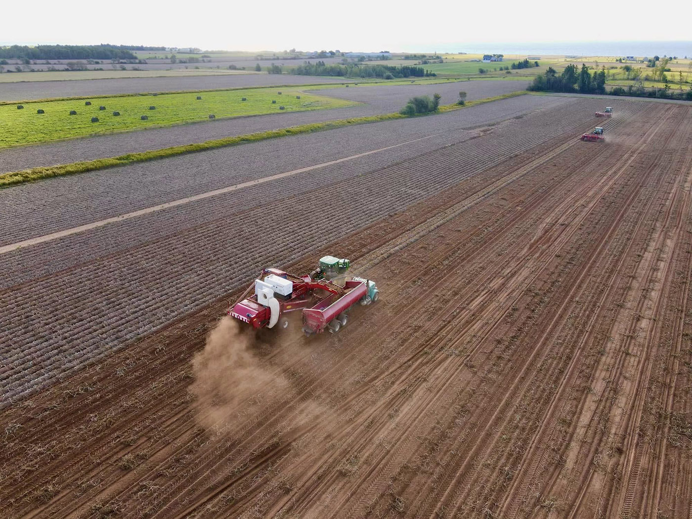 G Visser & Sons Potato cover