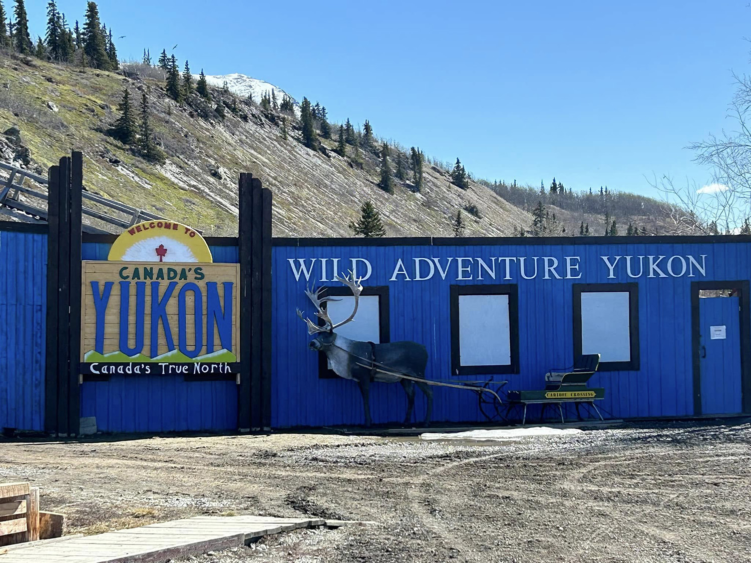 Wild Adventure Yukon cover