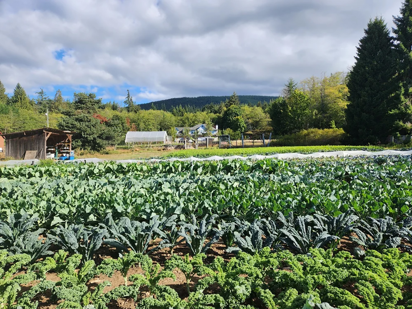 Grounded Acres Organic Farm