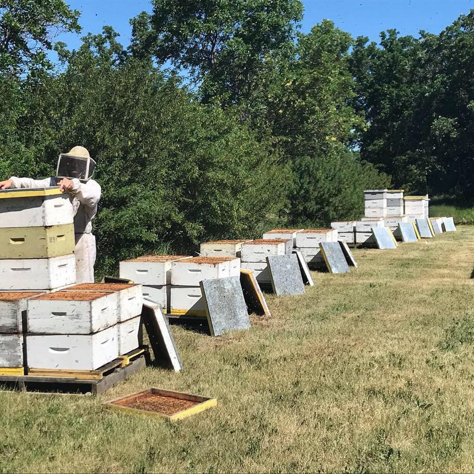Bartel Honey Farms cover