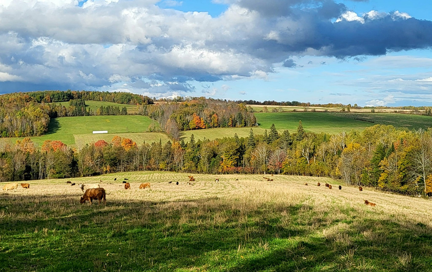 Strawberry Hill Farm
