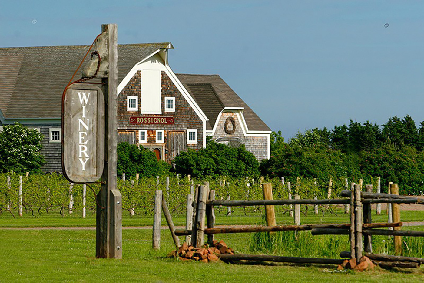 Rossignol Estate Winery
