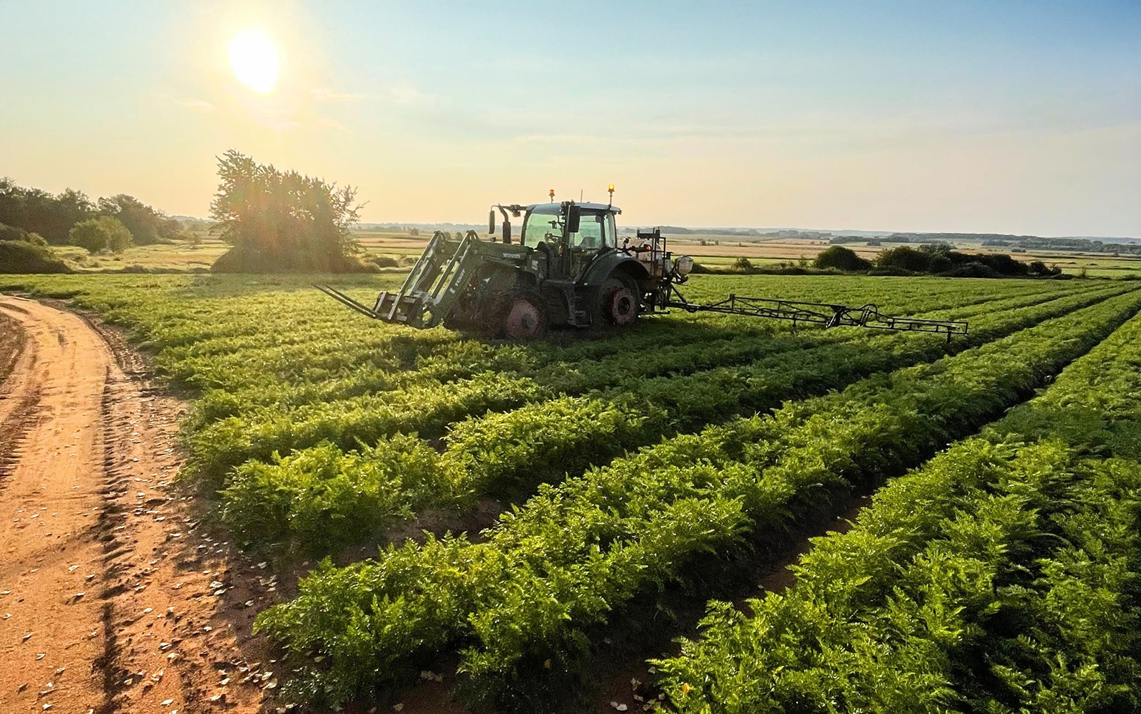 Elmridge Farms cover