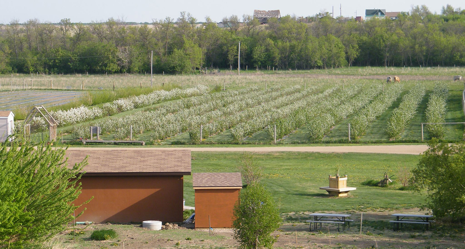 Bend in the River Berries
