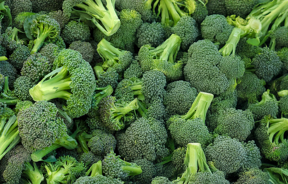 Broccoli