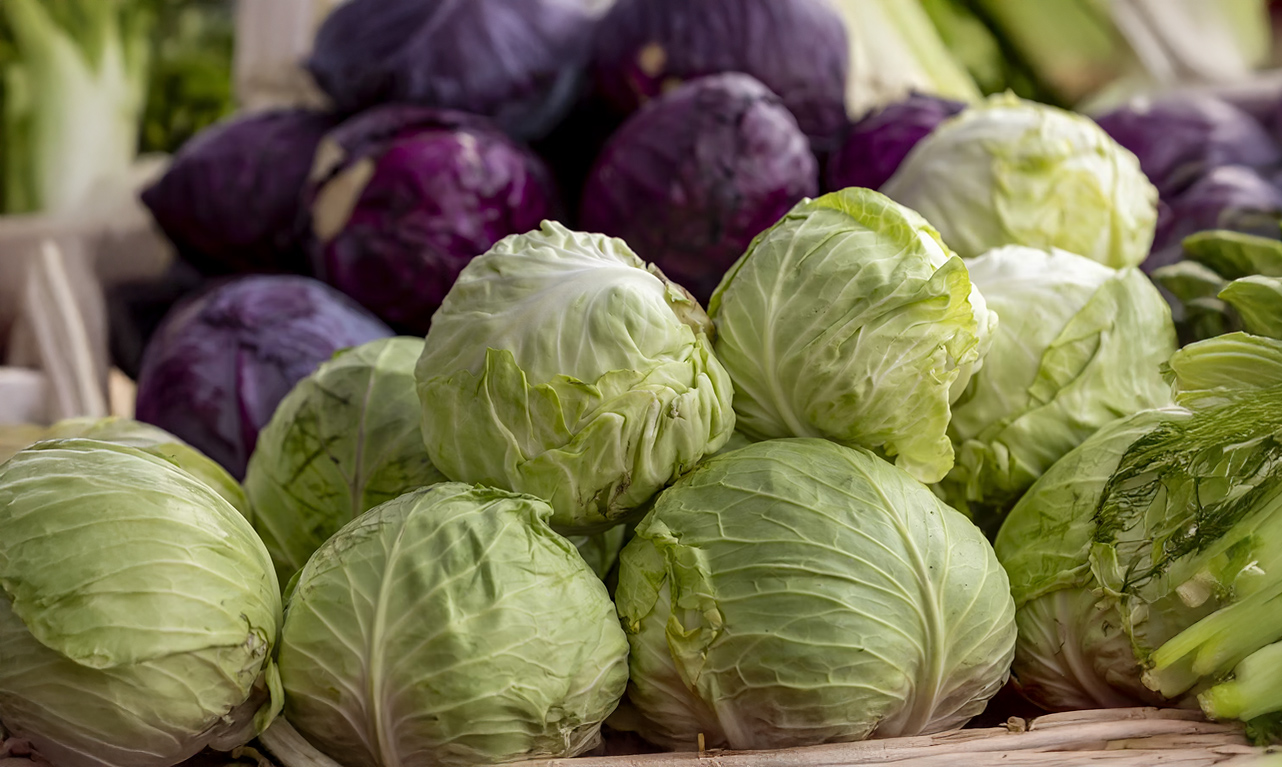 Cabbage (Green/Red)