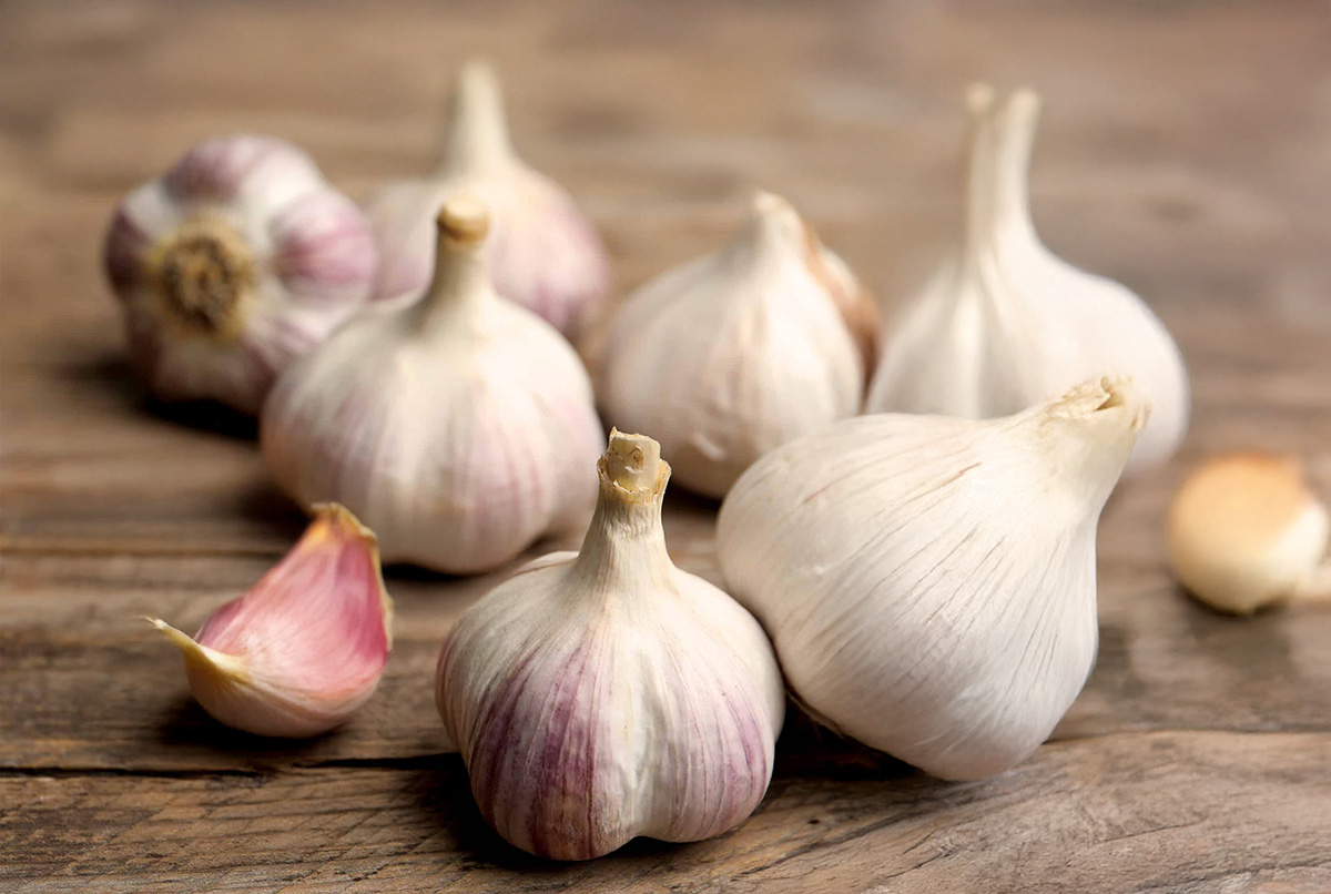Garlic (Hardneck)