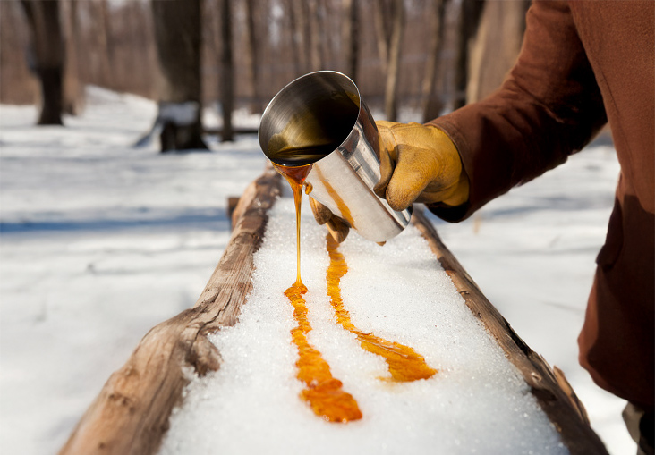 Maple Syrup