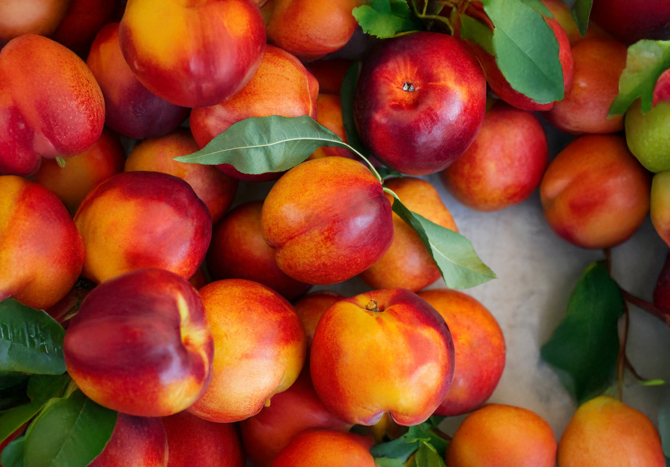 Nectarines