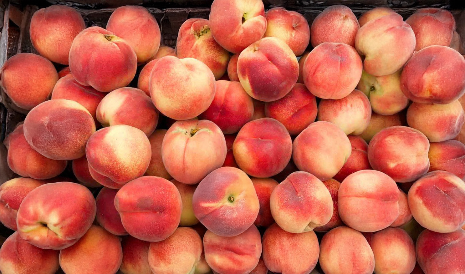 Peaches