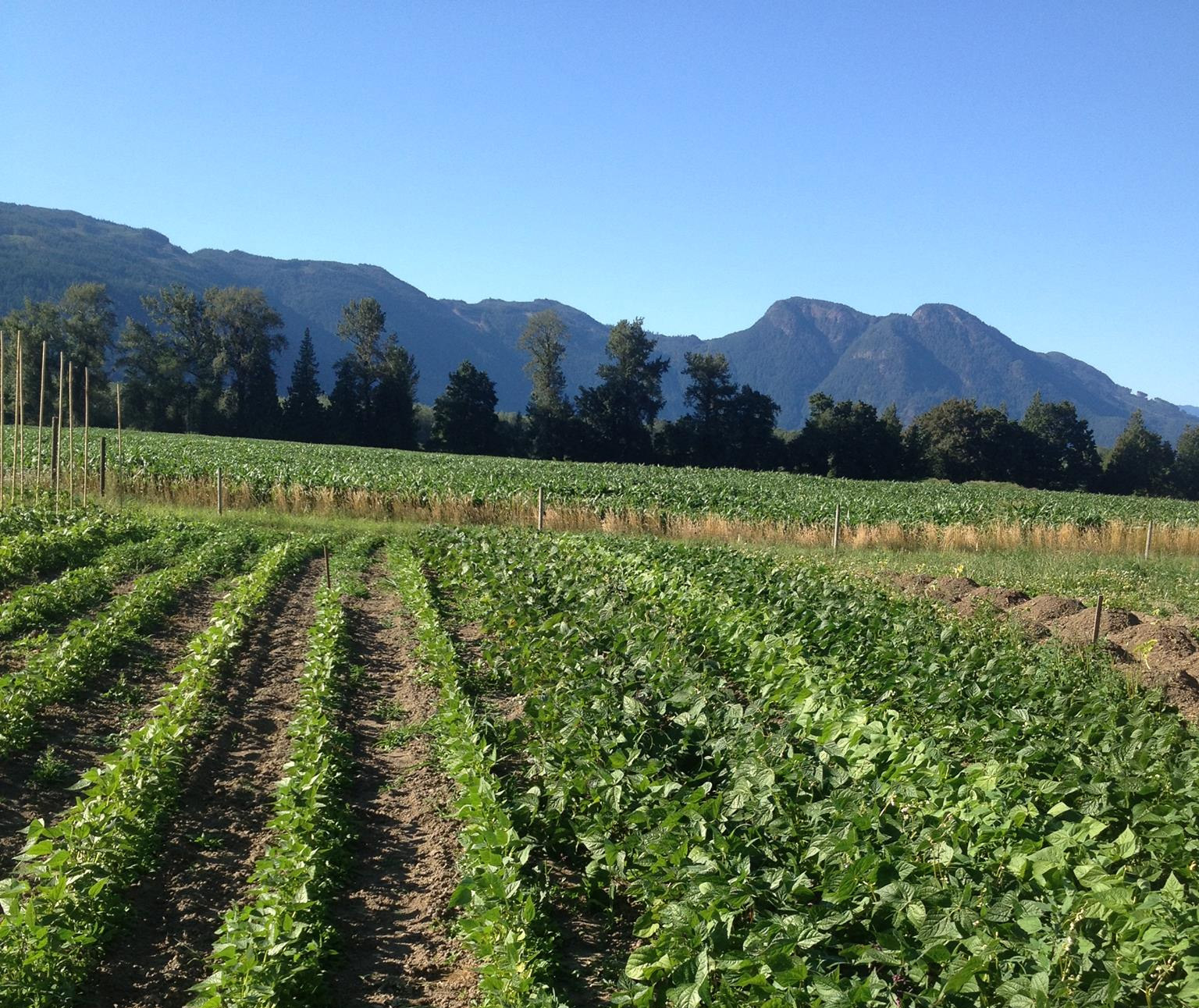 Ossome Acres