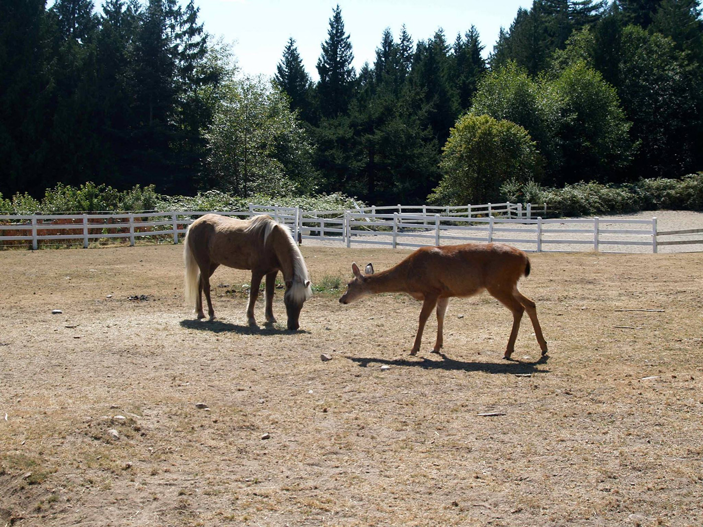 Farm Ventures