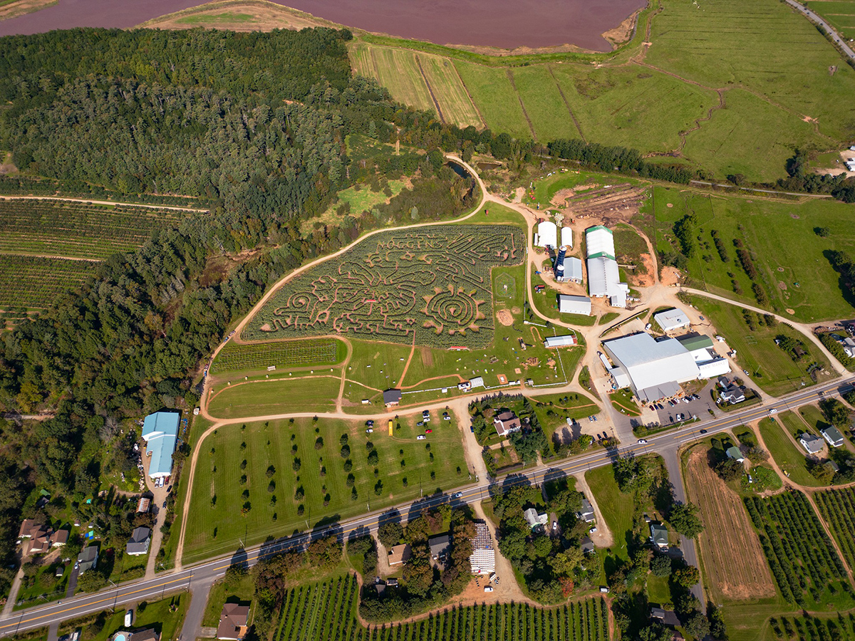 Noggins Corner Farm cover