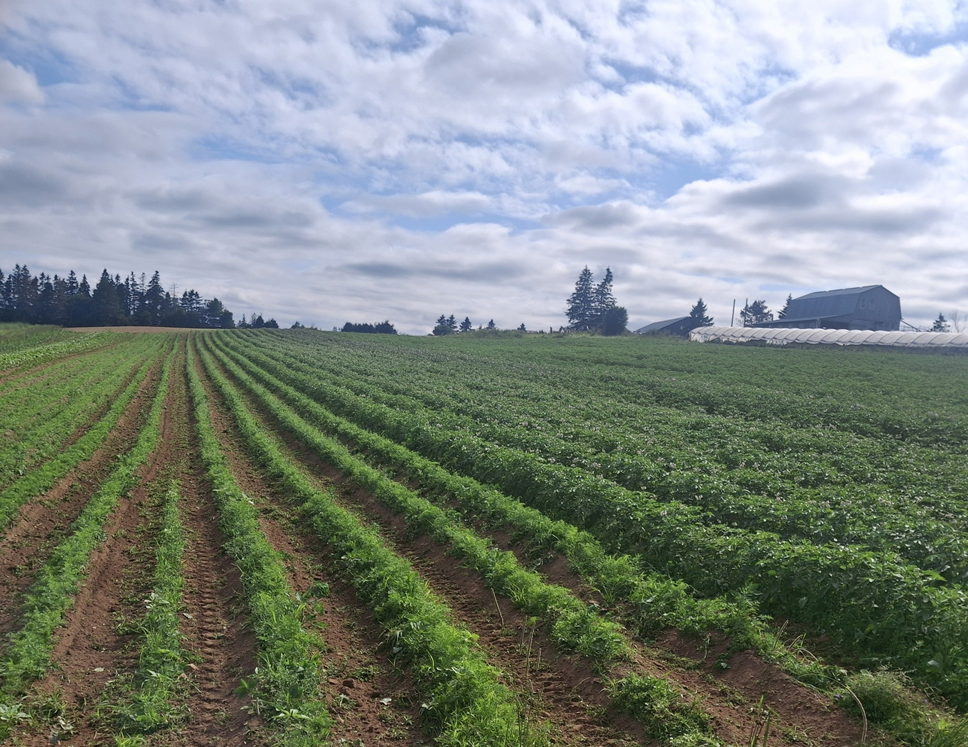 Nature's Route Farm