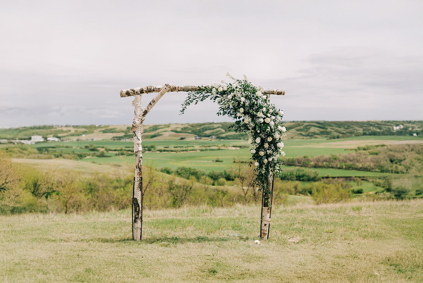 Daisy & Bird Floral Design