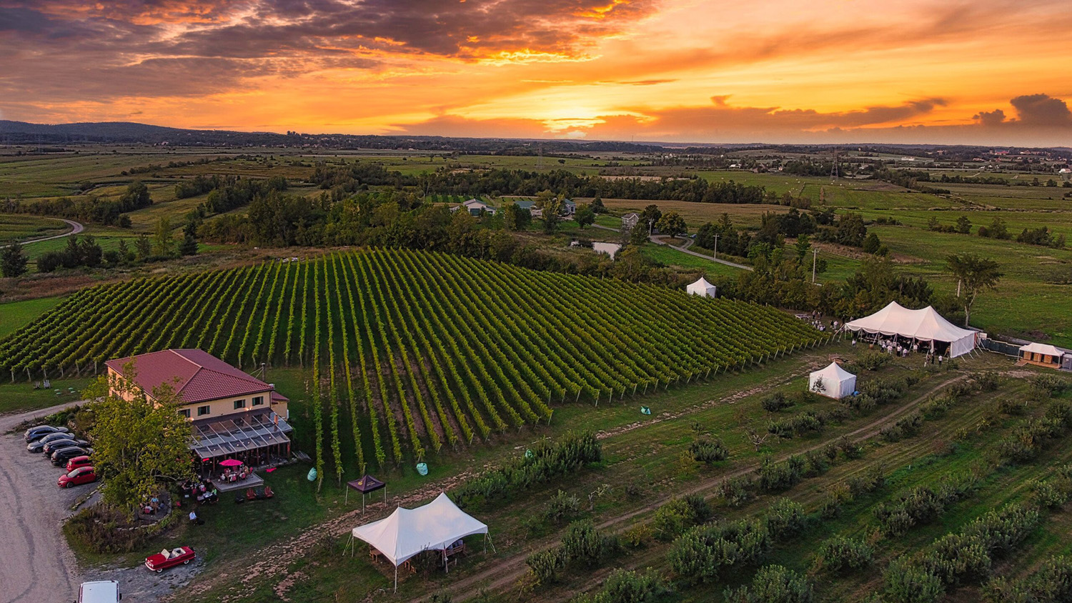 Bent Ridge Winery
