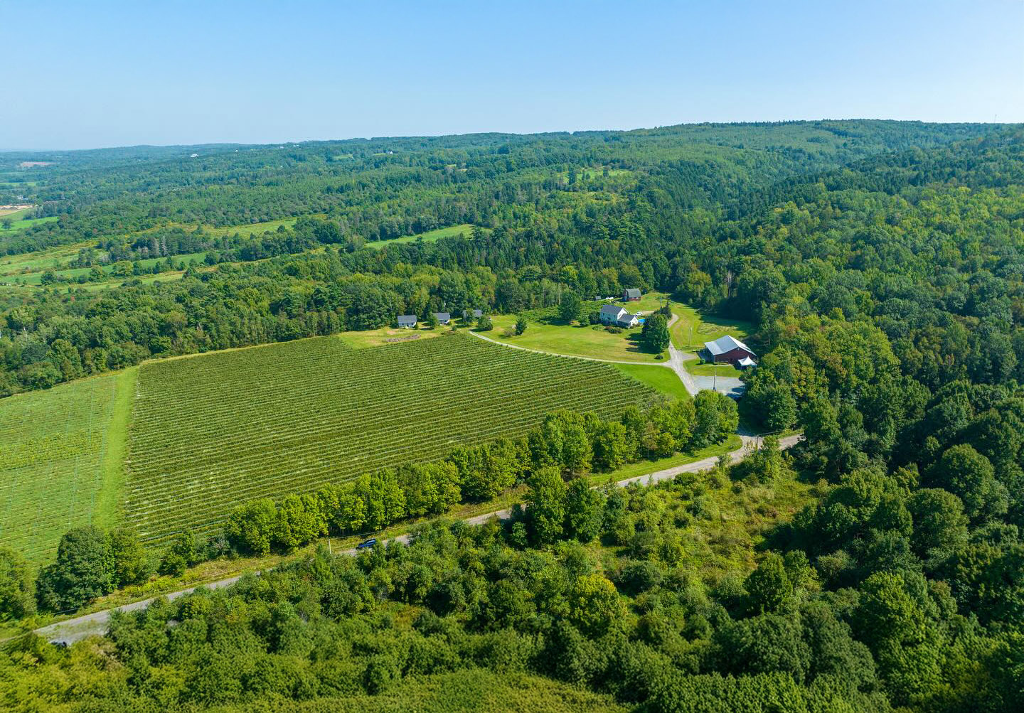 L'Acadie Vineyards cover