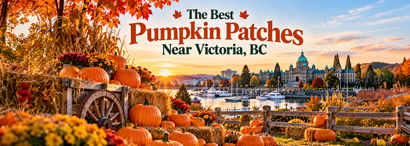 The Best Pumpkin Patches Near Victoria, BC