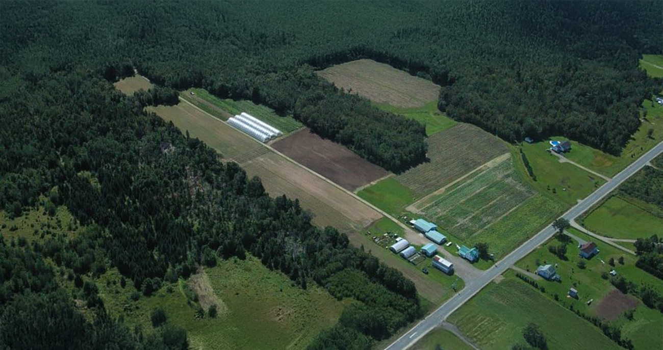 La Ferme Pouce Vert