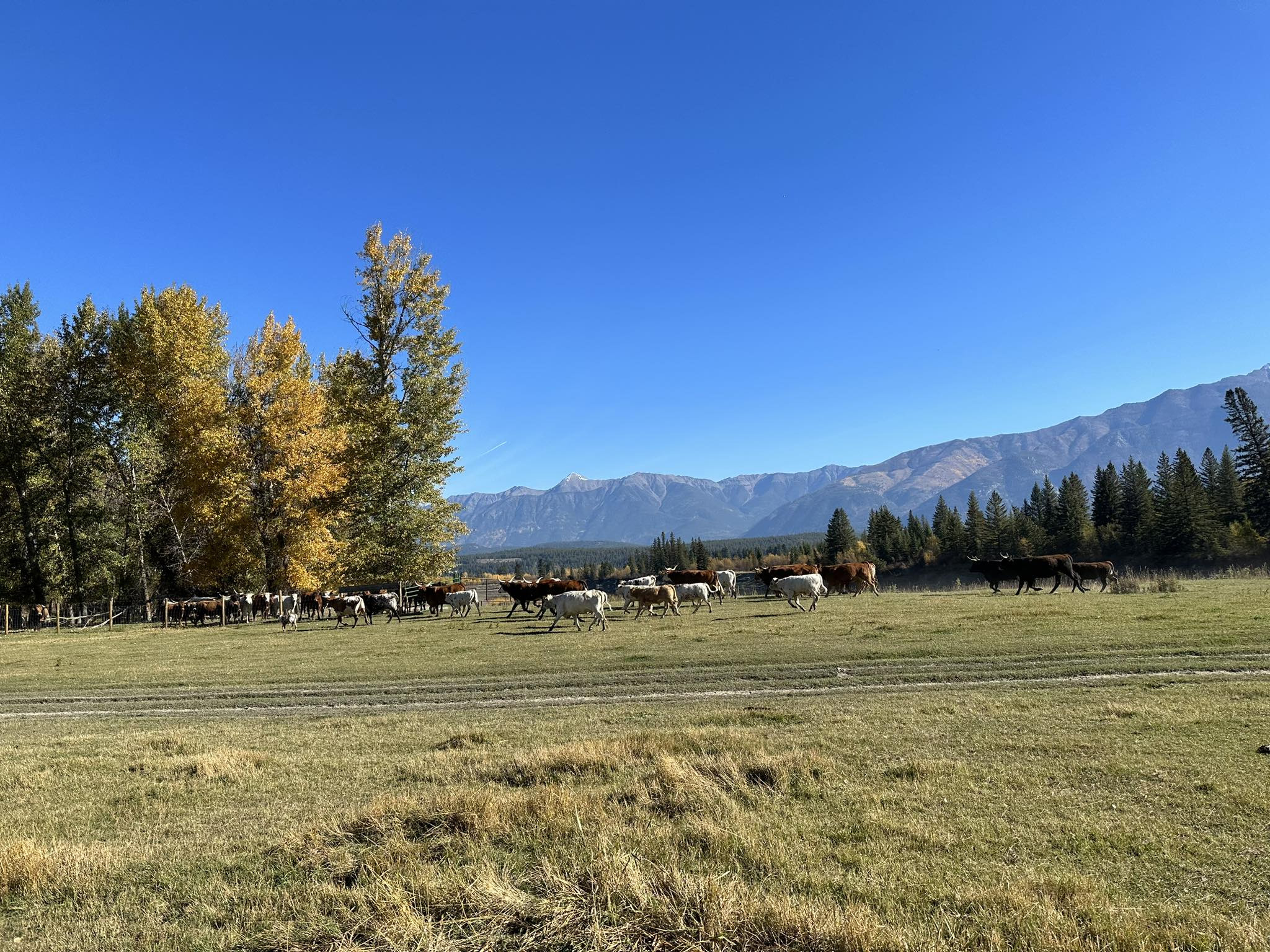 Crooked Horn Ranch