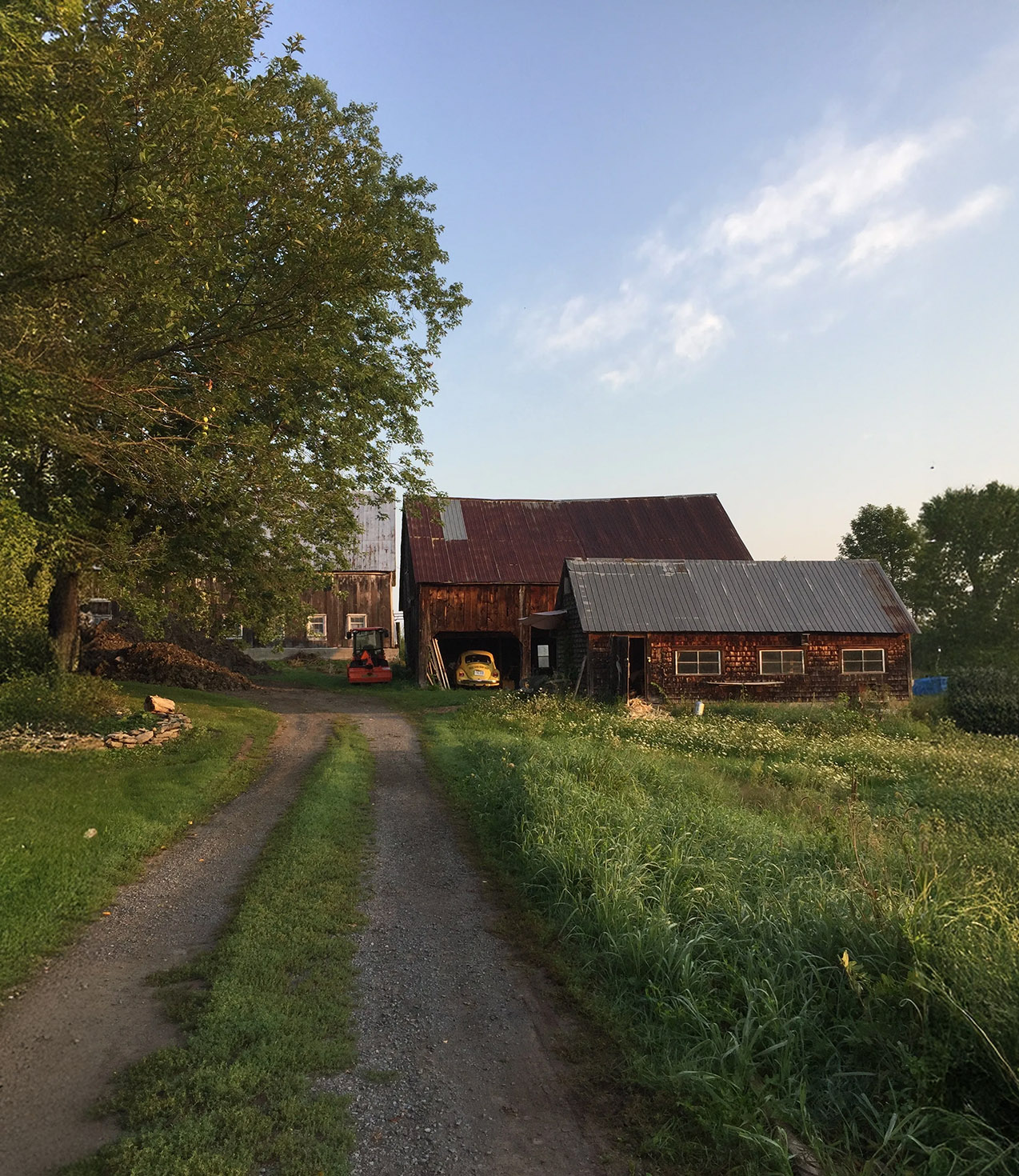 Springfield Farm